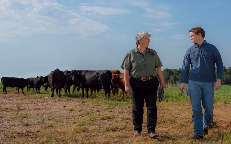 Rancher and marketing consultant meeting in a cattle pasture.