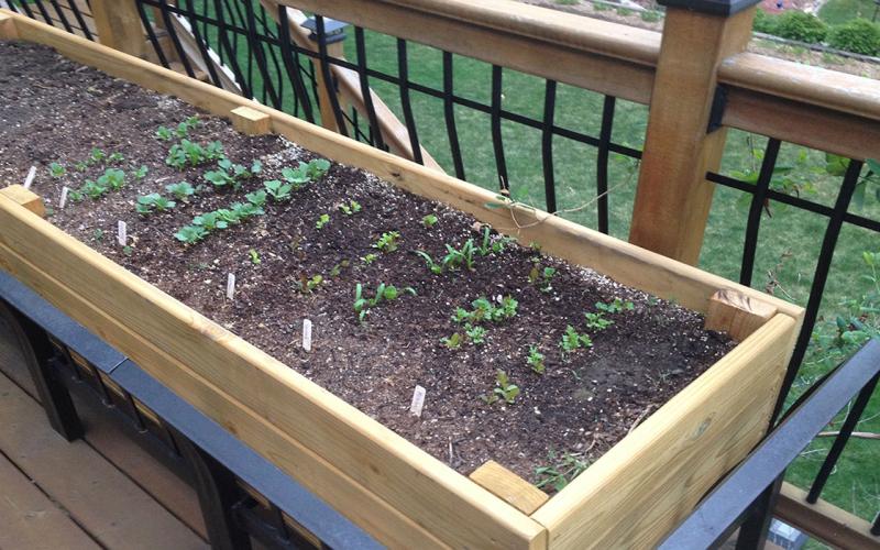 Raised bed garden container.