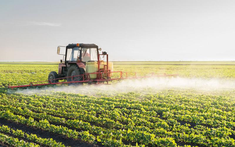 Tractor with sprayer applying postemergence herbicide to soybeans.