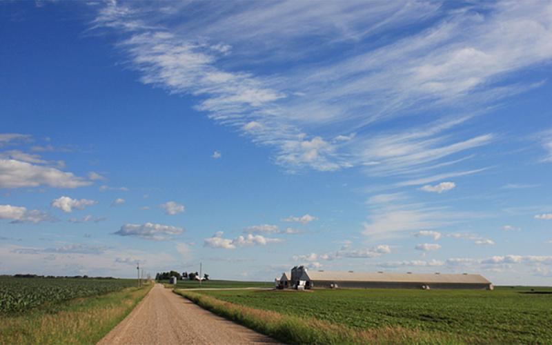 Swine barn along an open country road.