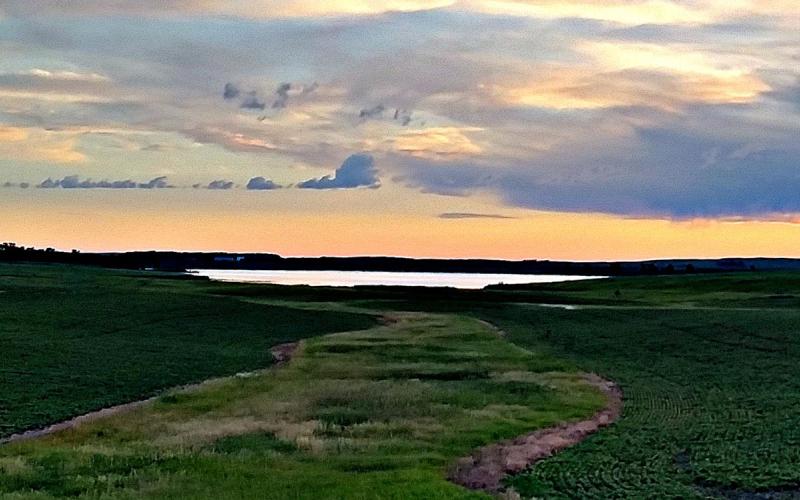 Grassed waterway leading to a large watershed in the distance.