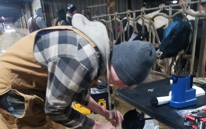 Man getting a straw of semen out of a tank for artificial insemination