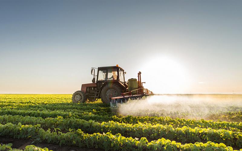 Tractor spraying soybean.