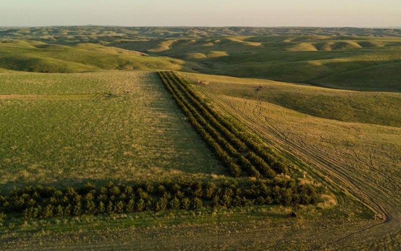 Sprawling rangeland enrolled in the conservation stewardship program.