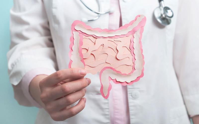 Doctor holding a paper diagram of the human digestive system.