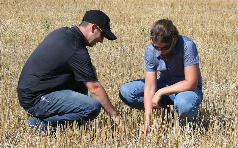 Producers inspecting soil in a harvested wheat field.