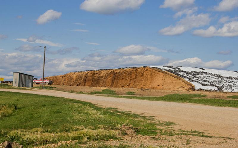 Silage pile covered with tarp and weighted down with tires.