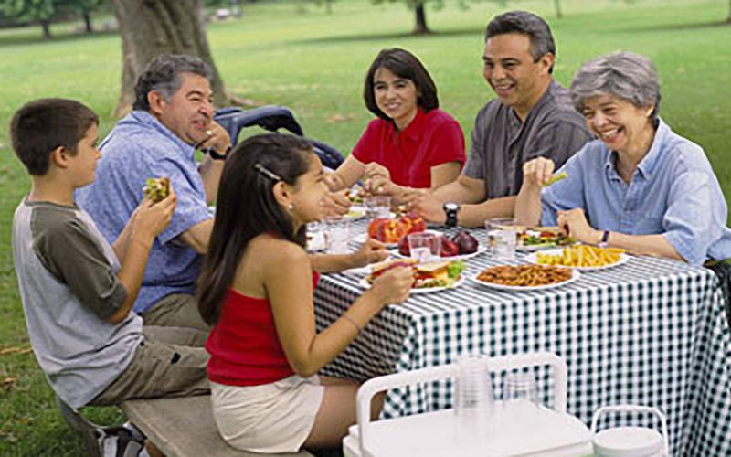 An extended family having a picnic at a park on a summer day.