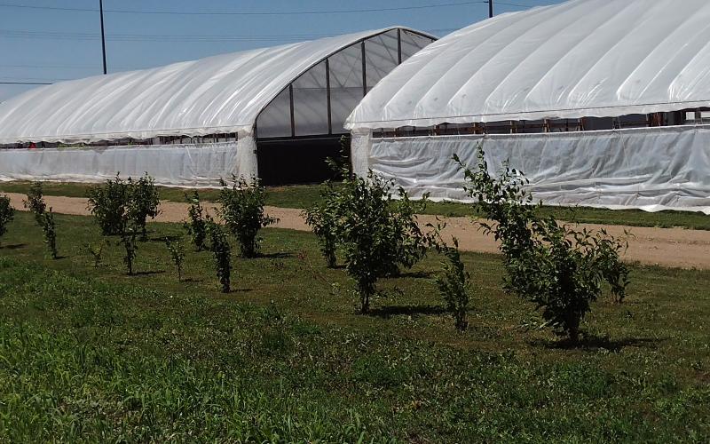 a metal structure with white tarps wrapped over it, resembling a hoop shape