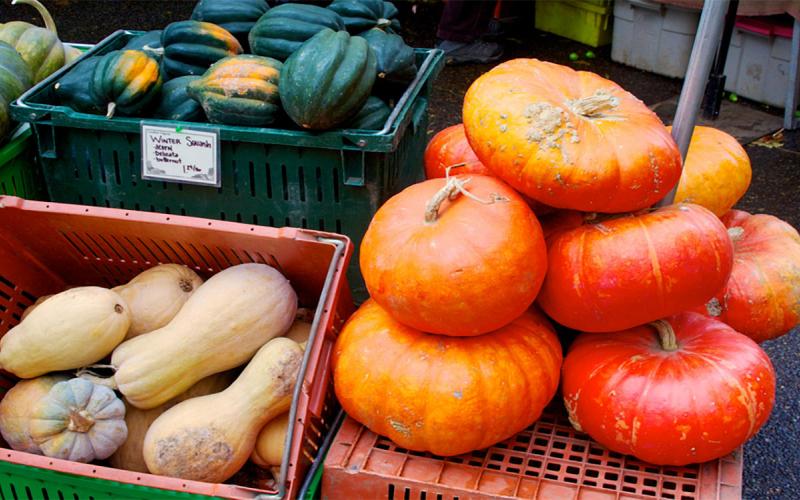 Pumpkins and winter squash on display at a farmer's market.