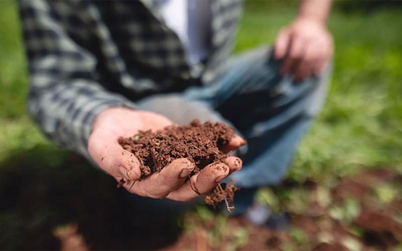 Gardener holding a handful of healthy soil.