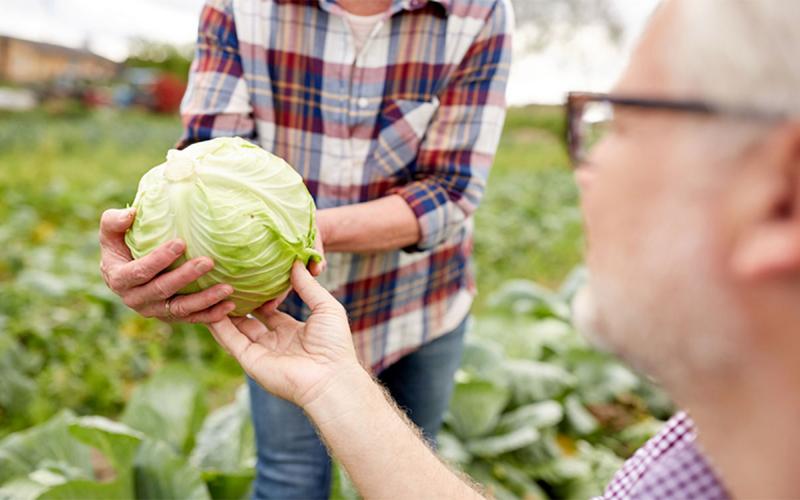 Requirements for Food Entrepreneurs Selling Food in South Dakota