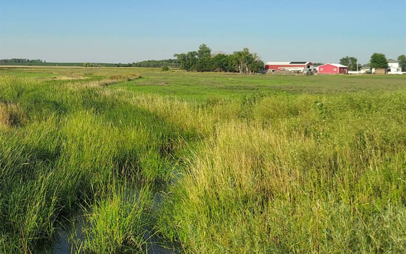 Lush, densely vegetated riparian area 10 years after beginning the SRAM program.