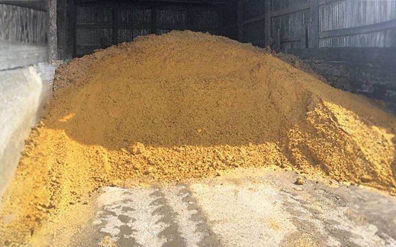 Pile of cattle feed.