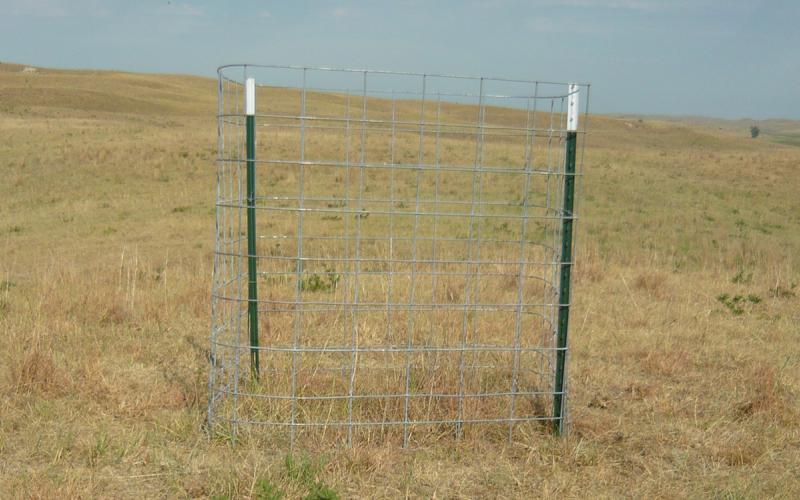 Grazing exclosure constructed in a rangeland area.