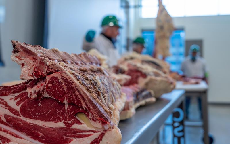Beef carcass prepped for evaluation in a meat lab.
