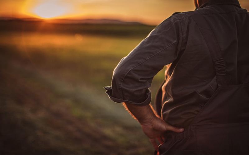 Producer observing a bare field in late autumn.
