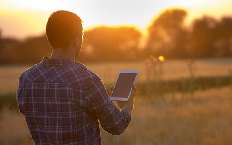Producer with tablet observing a field in late autumn.