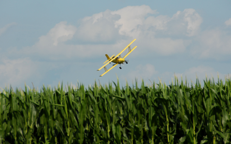Crop duster over a corn field