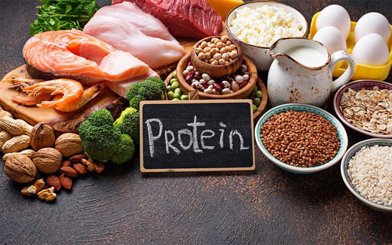 Chalkboard with the word “Protein” written on it displayed among various animal and vegetable protein sources.