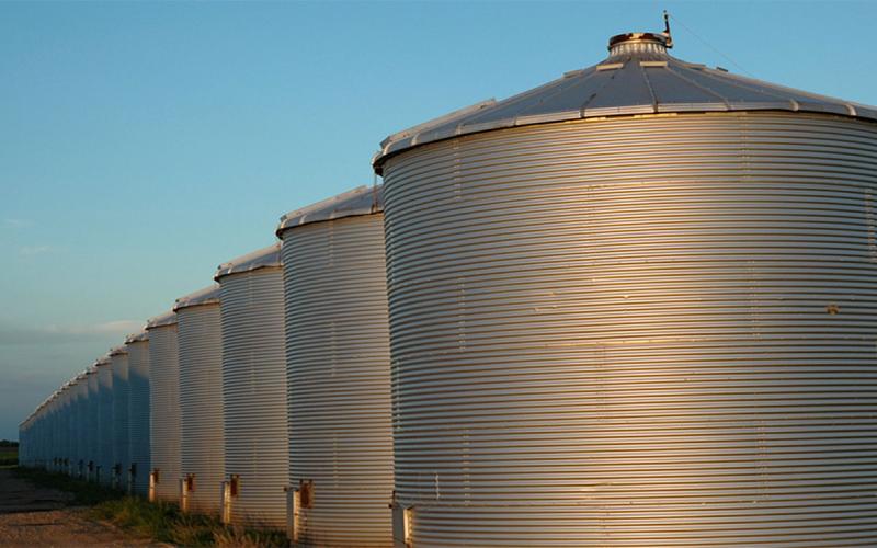 Row of well-maintained grain bins alongside a field.