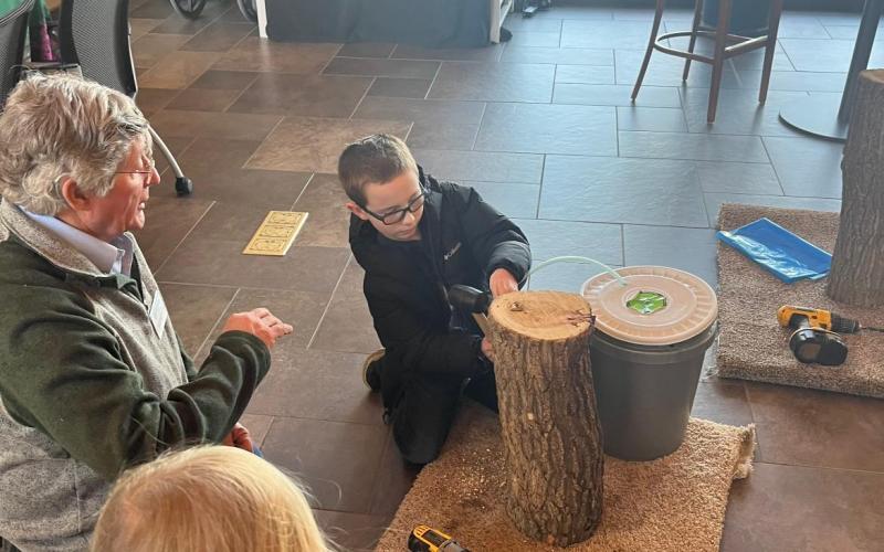 A boy drills a tap into a tree stump during a Maple Syrup Workshop at McCrory Gardens