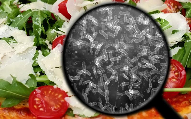 Magnifying glass reveals bacteria in a salad.