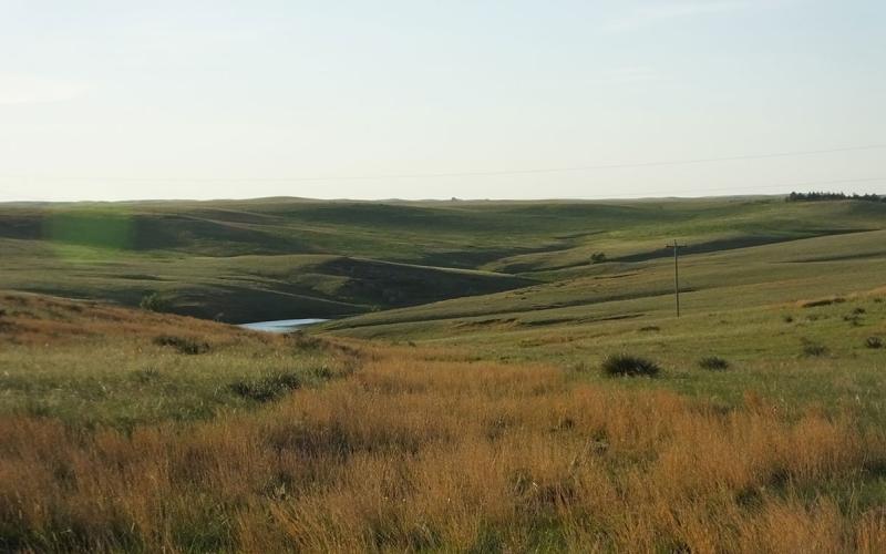 Vast, rolling agricultural landscape with a variety of plant life.