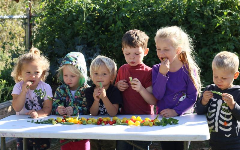 Group of children eating fresh vegetables