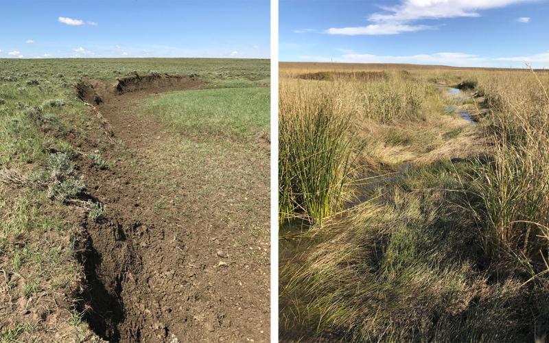 Two headwater prairie streams in Butte County.