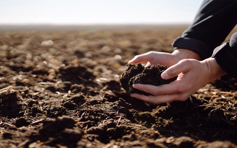 Producer holding soil in cupped hands over a bare field in early spring.