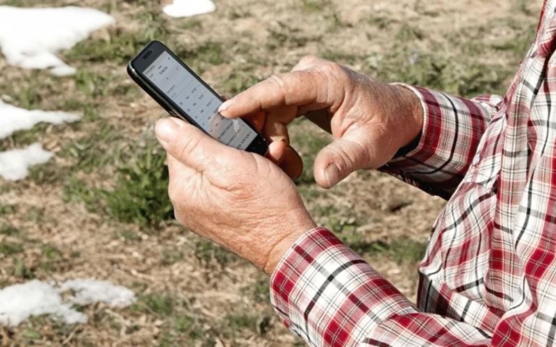 Producer entering data into a calving app on his smart phone.