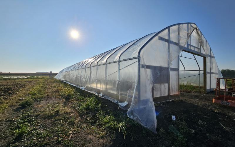 A metal high tunnel enclosed in plastic is in a field