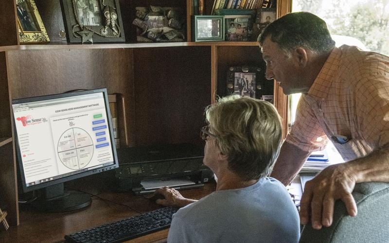 Husband and wife viewing calving software on a computer in a ranch office.