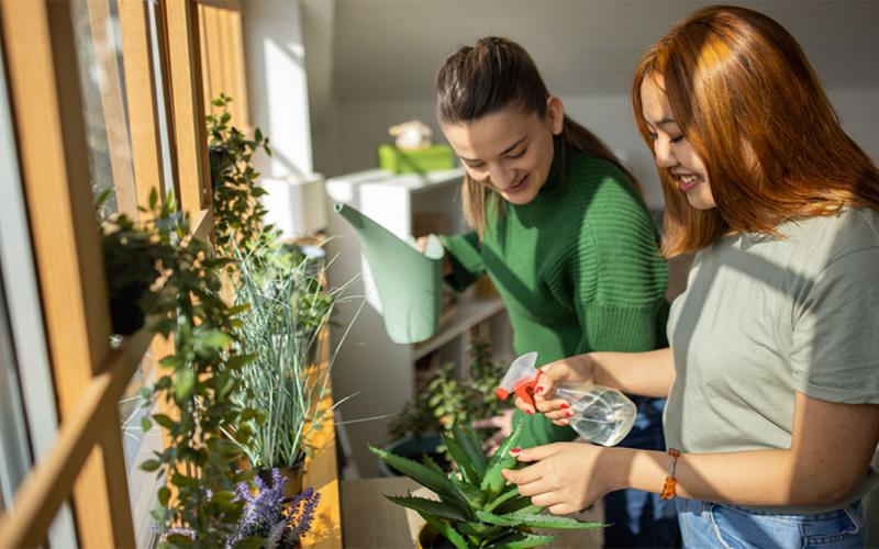 Two young women with watering devices inspecting a variety of houseplants.