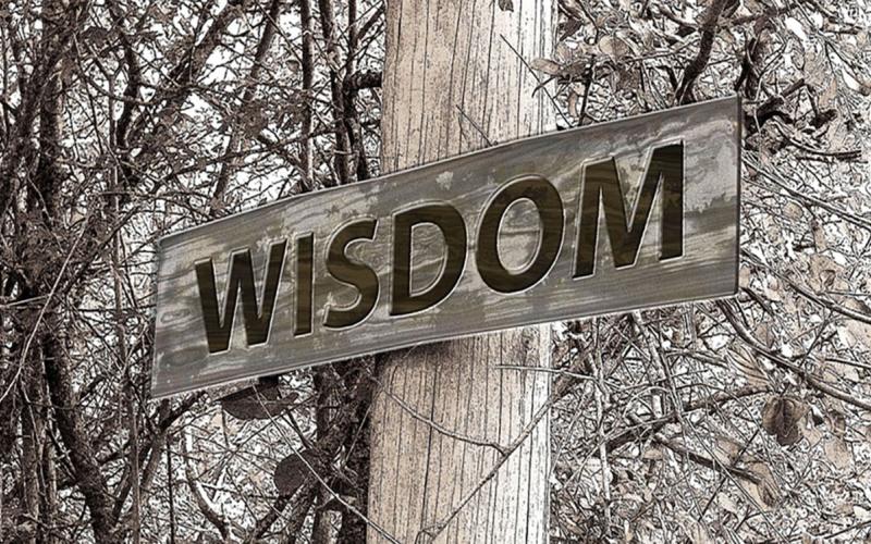 Sign reading "wisdom" outside a wooded area.