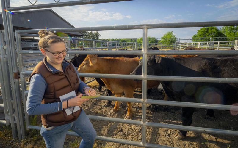 Female rancher observing a small group of cattle in a pen.