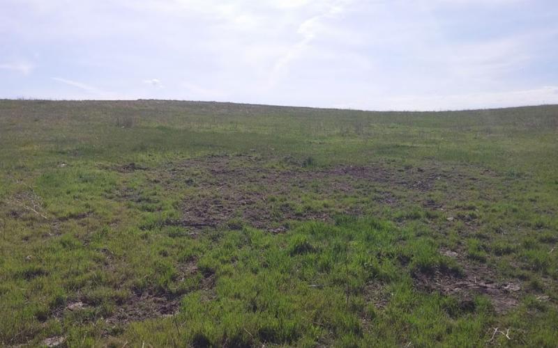 A green pasture with patches of bare soil under a blue sky containing several wispy white clouds.
