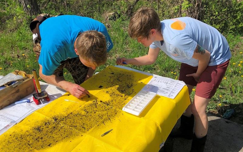 Two young males sorting and identifying aquatic invertebrates on a yellow tarp.