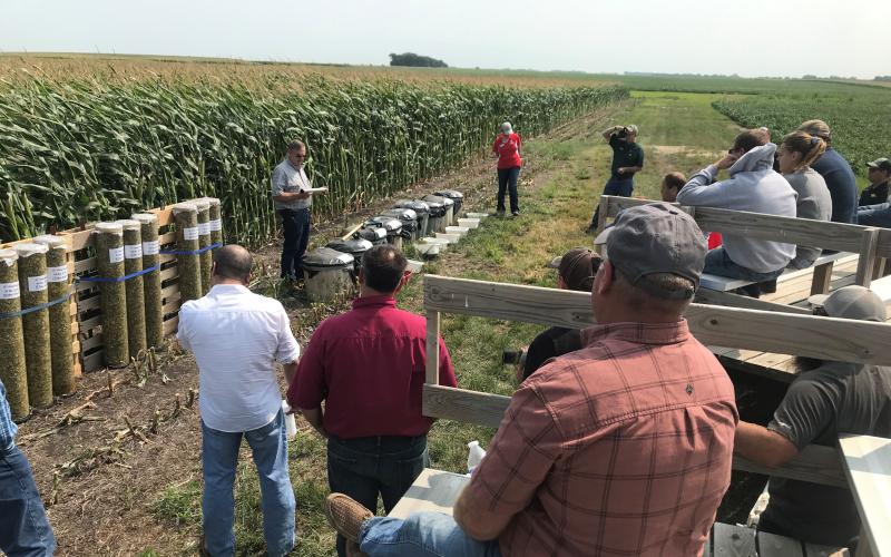 An expert stands in front of a corn field and speaks to attendees of a field day