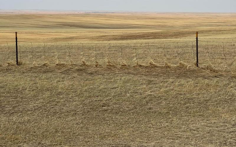 Fence line along a storm-damaged pasture in Butte County, South Dakota.