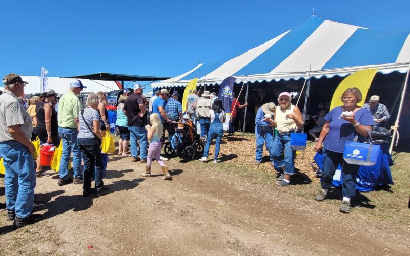 People line up outside a blue-and-white-striped tent