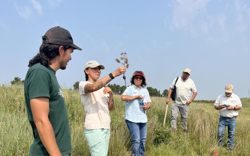 A woman in a baseball cap and T-shirt holds up a plant and speaks to a small group of people