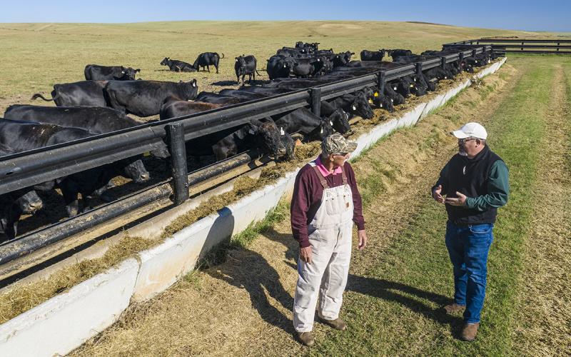 Rancher and veterinarian having a discussion near a cattle feed bunker.