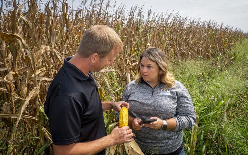 USDA agent analyzing an ear of corn with a producer alongside a cornfield in early fall.