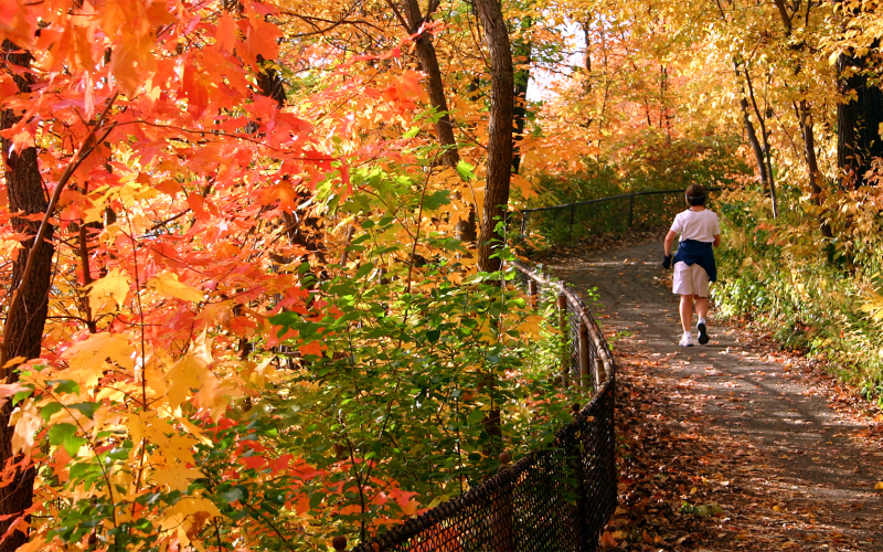 women walking on trail