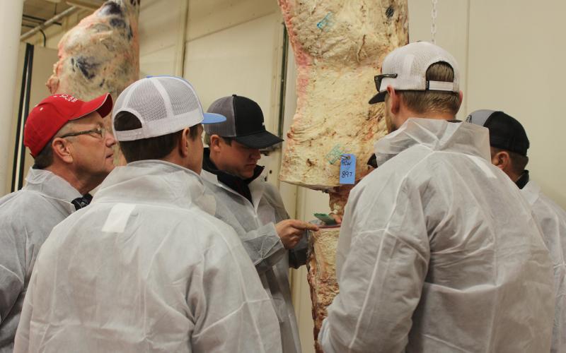 group of people inspecting beef carcass
