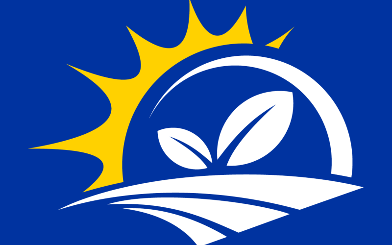 field with large leaves in the middle of a sun on a blue background