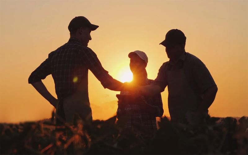 Group of farmers strategizing near a field at sunset.