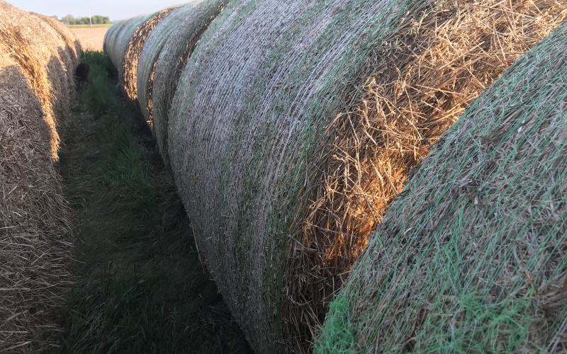 A close-up shot of big round bales of hay